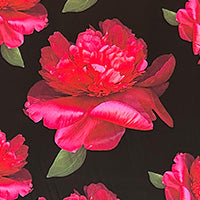 Suzannah x Kate Scott Frillseeker Floral Silk Twill